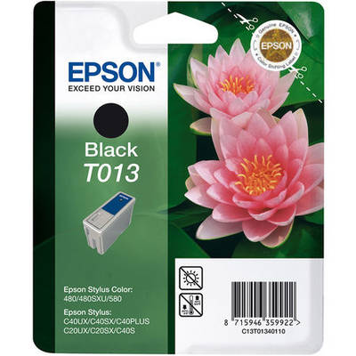 Epson T013-C13T01340120 Siyah Orjinal Kartuş