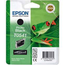 EPSON - Epson T0541-C13T05414020 Foto Siyah Orjinal Kartuş