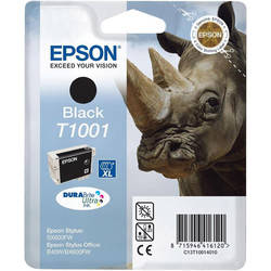 Epson T1001-C13T10014020 Siyah Orjinal Kartuş