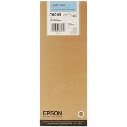 Epson T6065-C13T606500 Açık Cyan Original Cartridge - 1