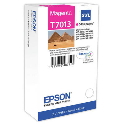 Epson T7013XXL-C13T70134010 Kırmızı Orjinal Kartuş